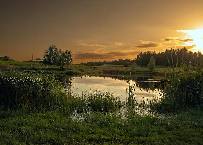 Dom Nad Stawem Z Balia 度假居